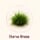 Durva Grass — sacred offering for Kaal Sarp Dosh Puja