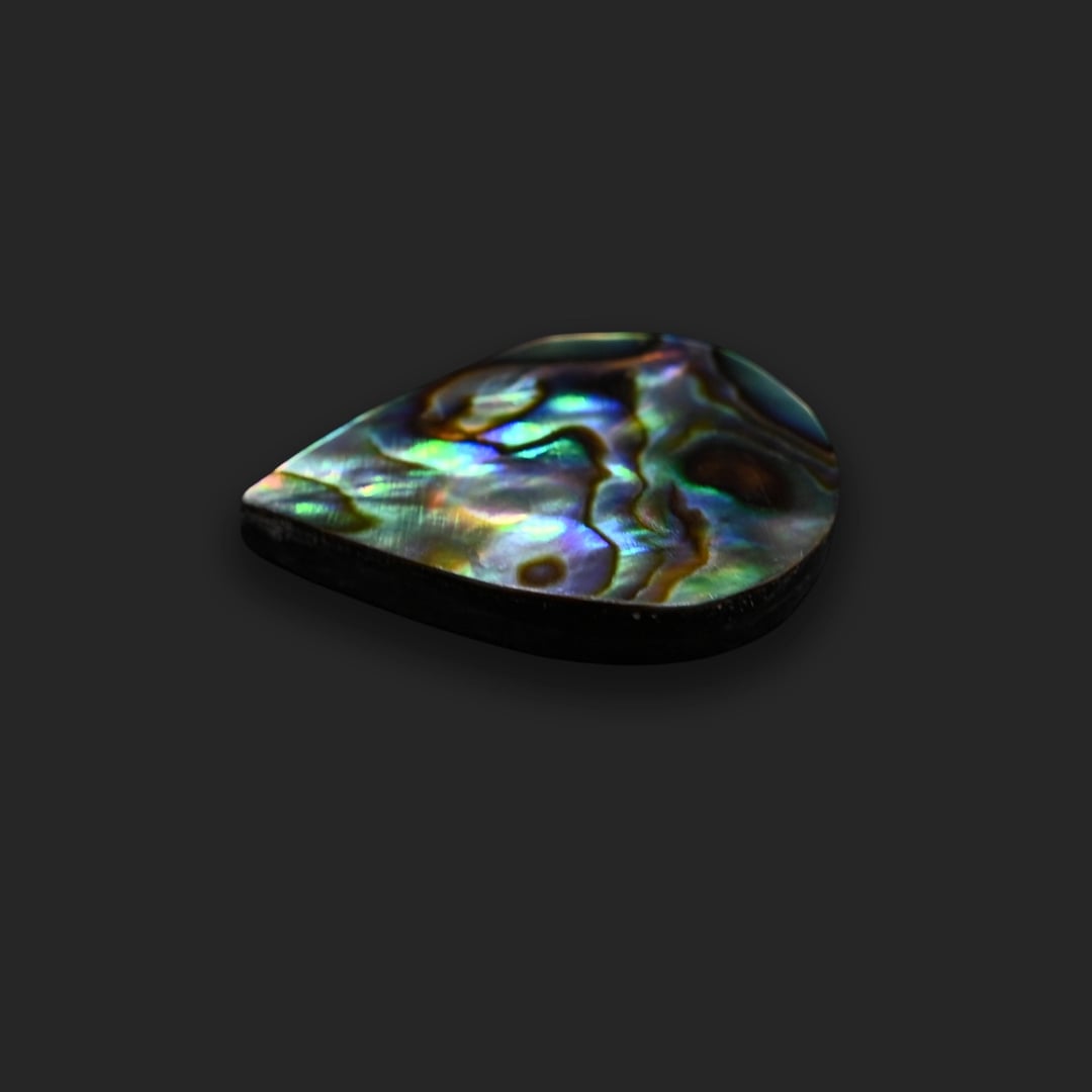 Abalone shell 12.07 Ratti