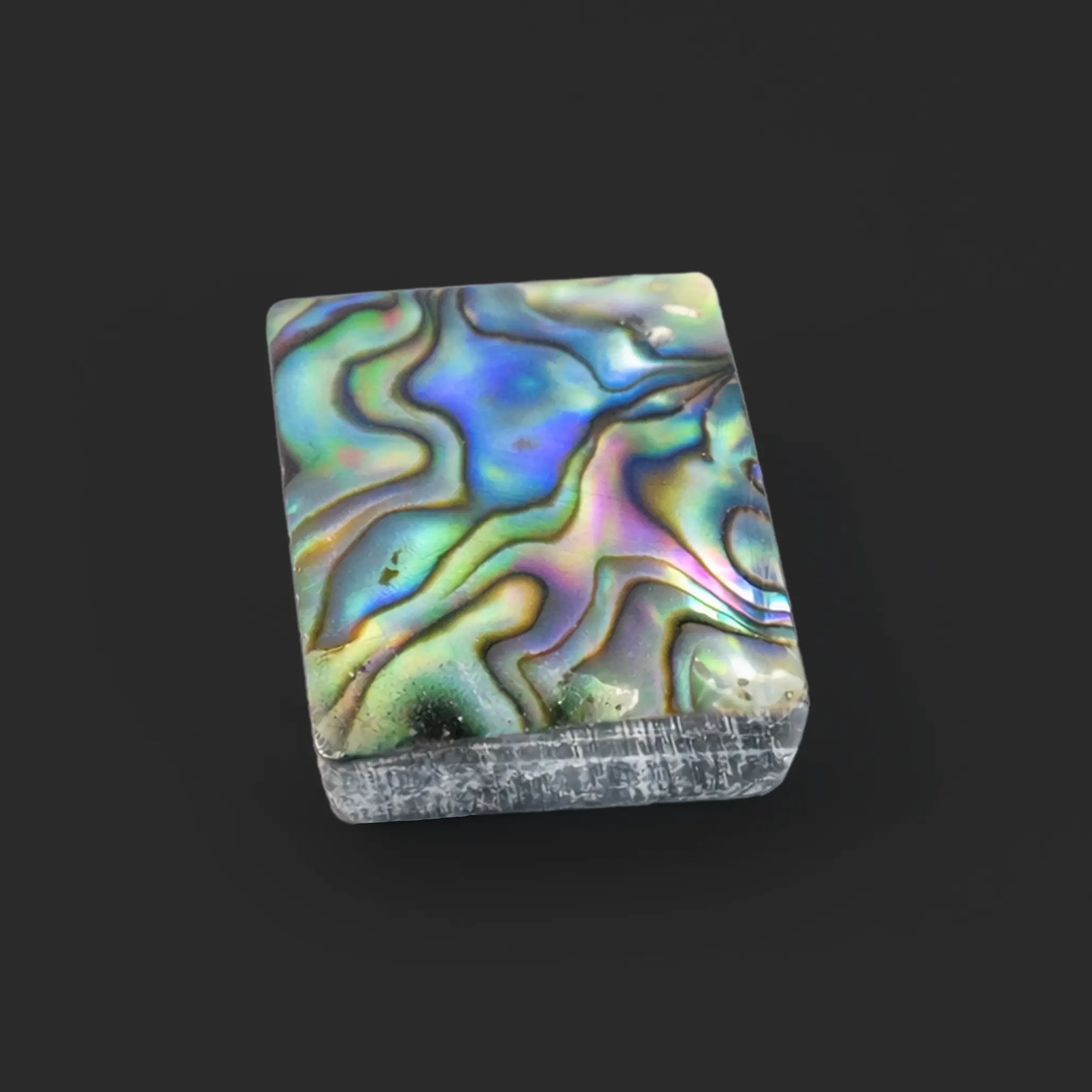 Abalone shell 12.78 Ratti