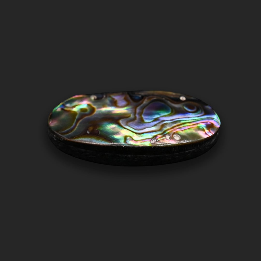 Abalone shell 14.32 Ratti