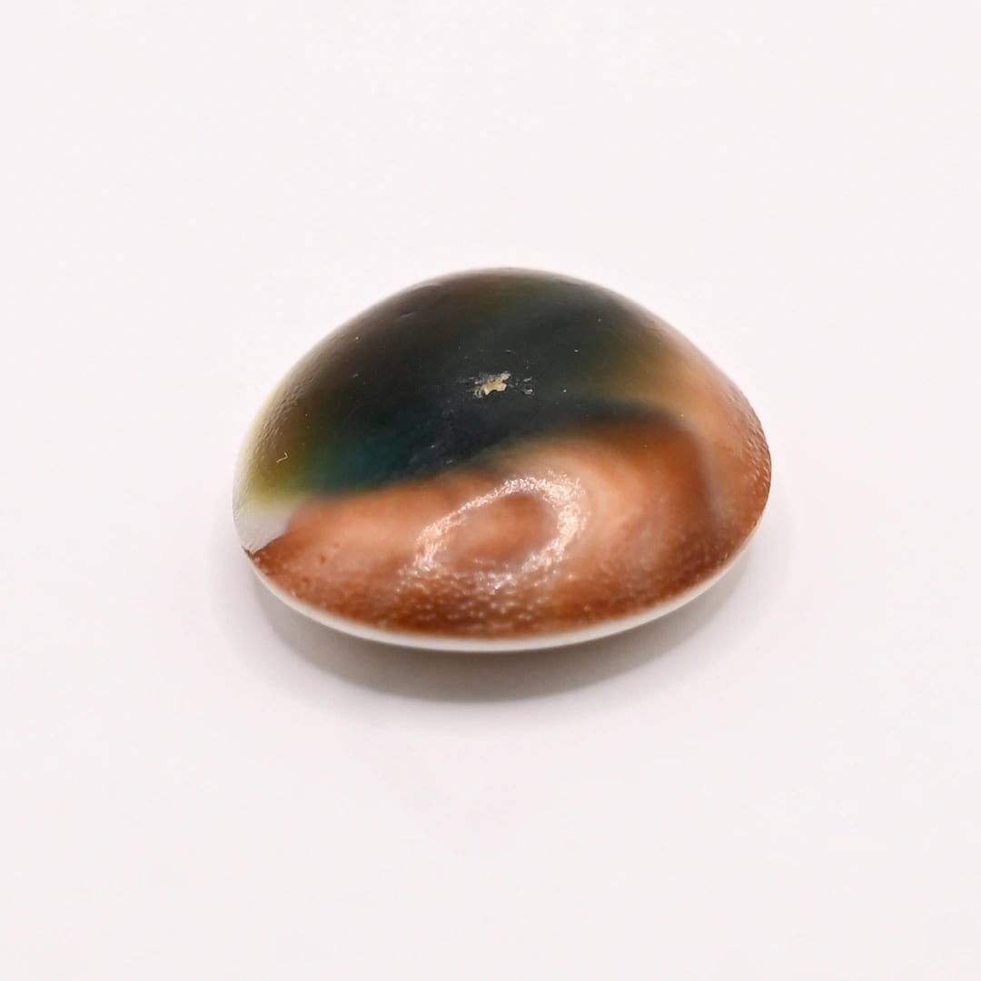 Shiva Eye 16.07 Ratti