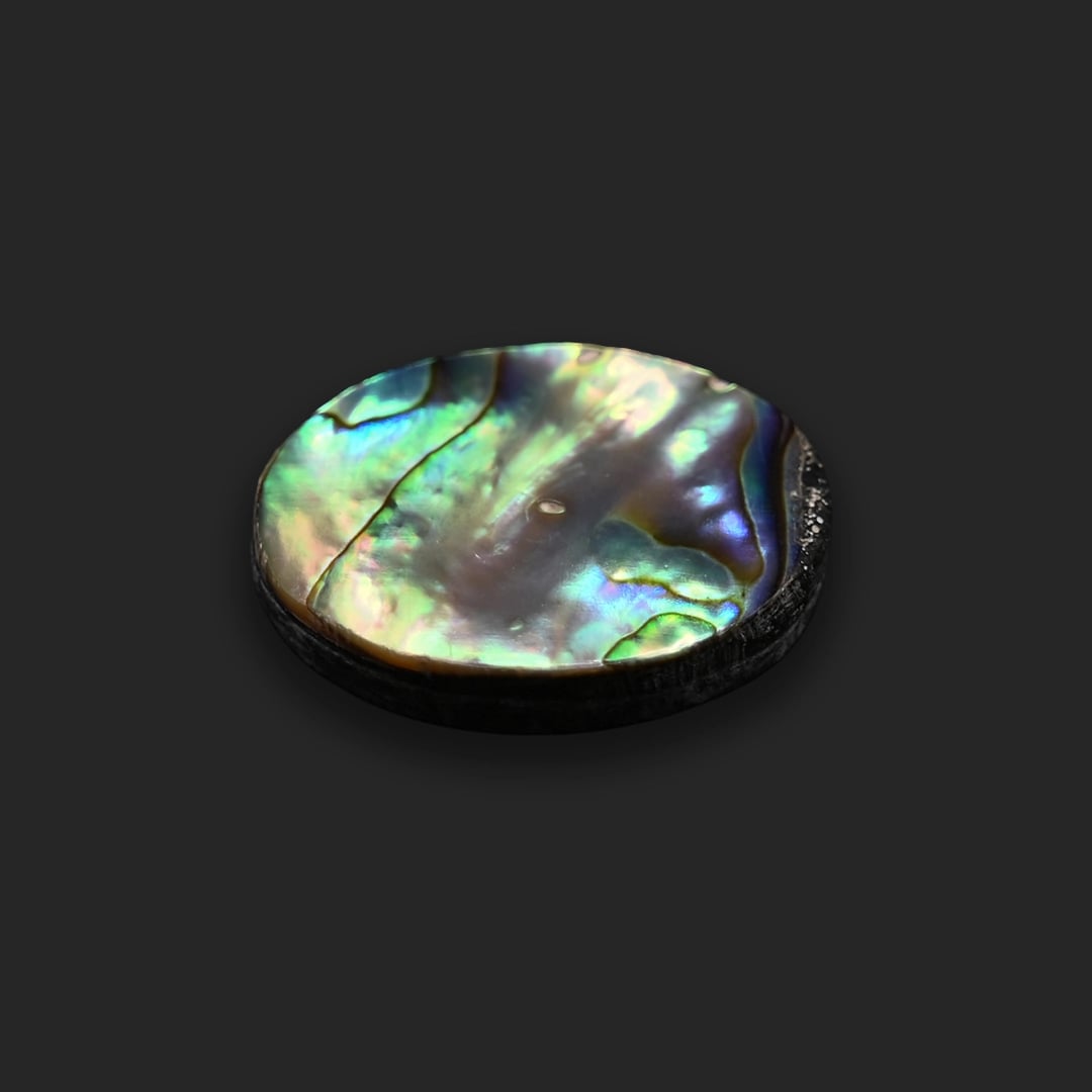 Abalone shell 16.62 Ratti