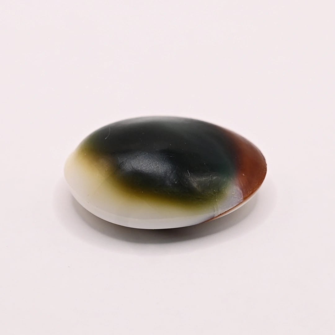 Shiva Eye 26.66 Ratti