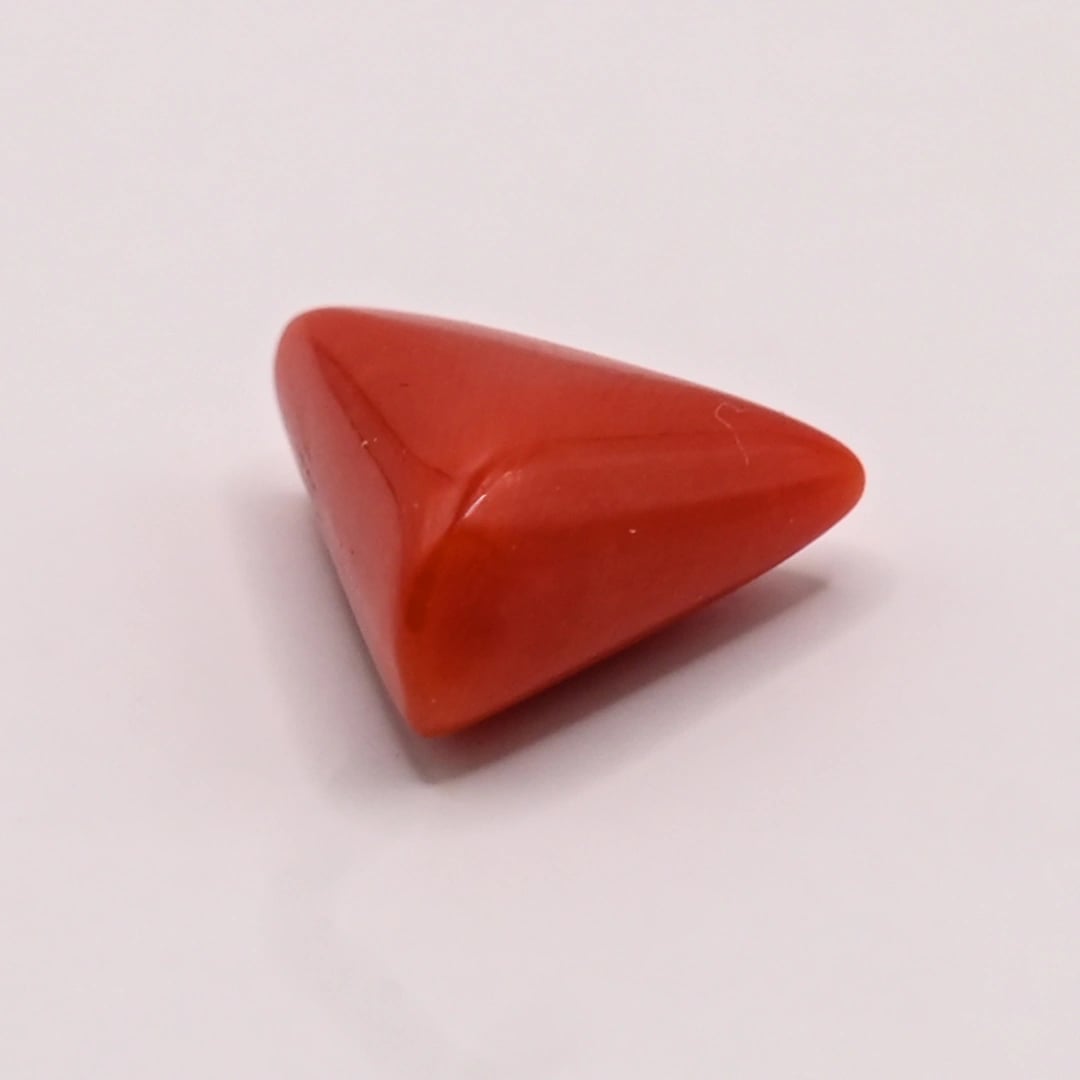 Italian Red Coral (Moonga) 5.15 Ratti
