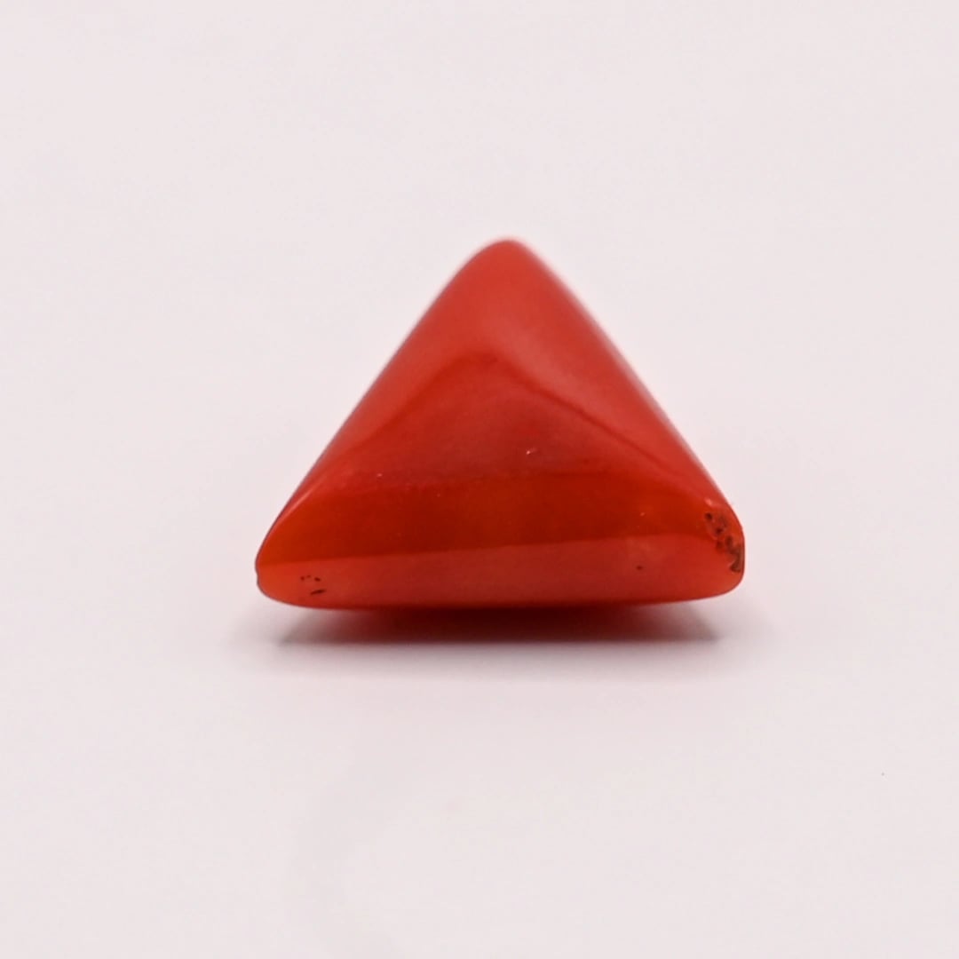 Italian Red Coral (Moonga) 5.26 Ratti