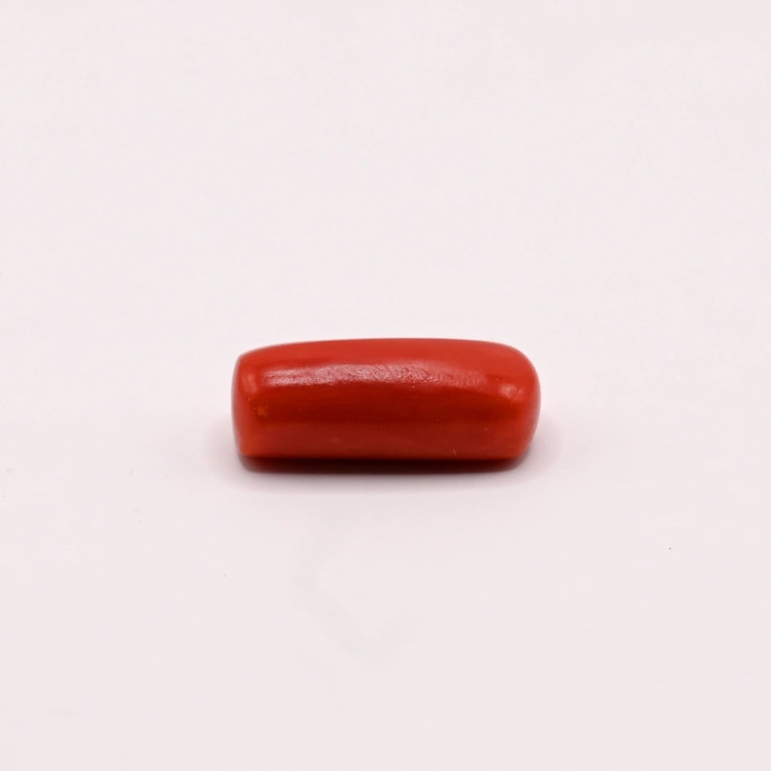 Italian Coral 8.23 Ratti