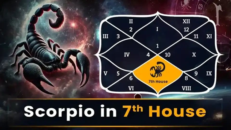 Scorpio in 7th House astrology