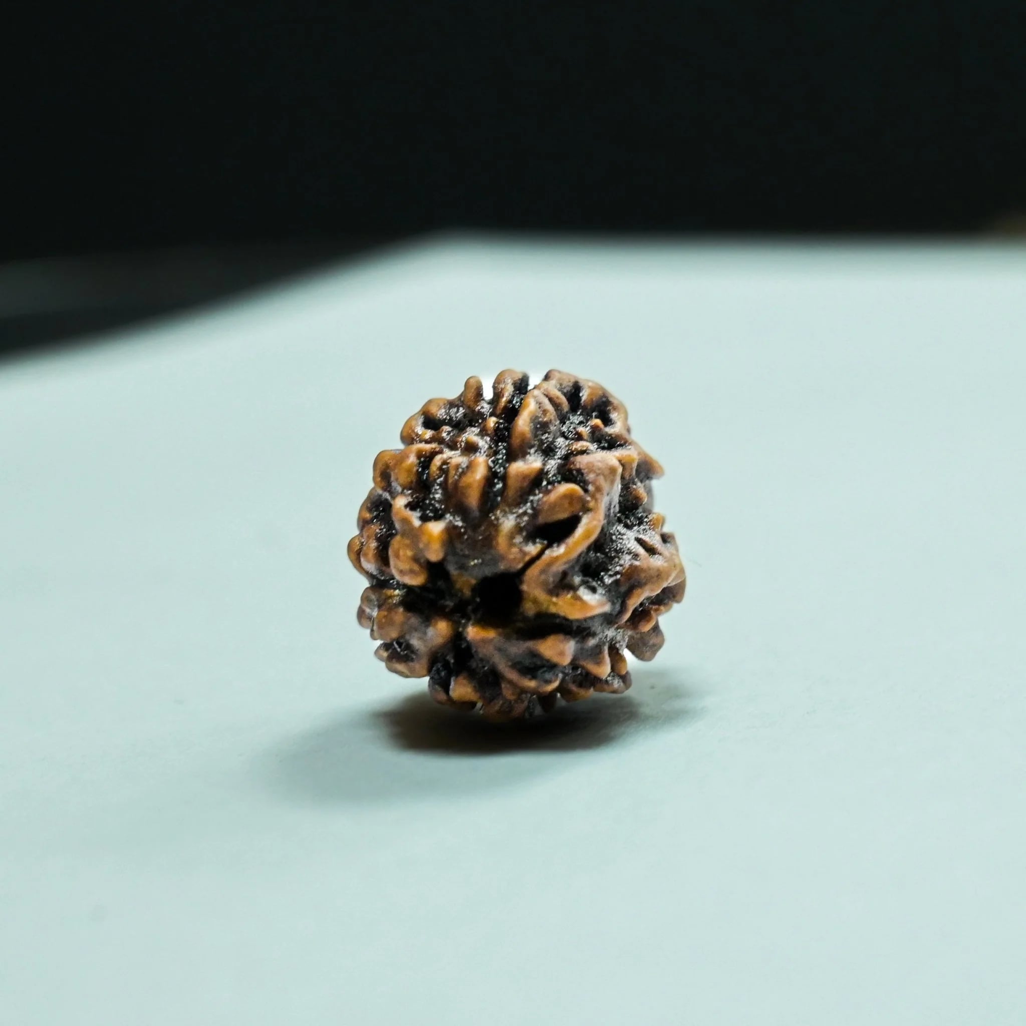 3 Mukhi Rudraksha: Spiritual Growth & Inner Strength