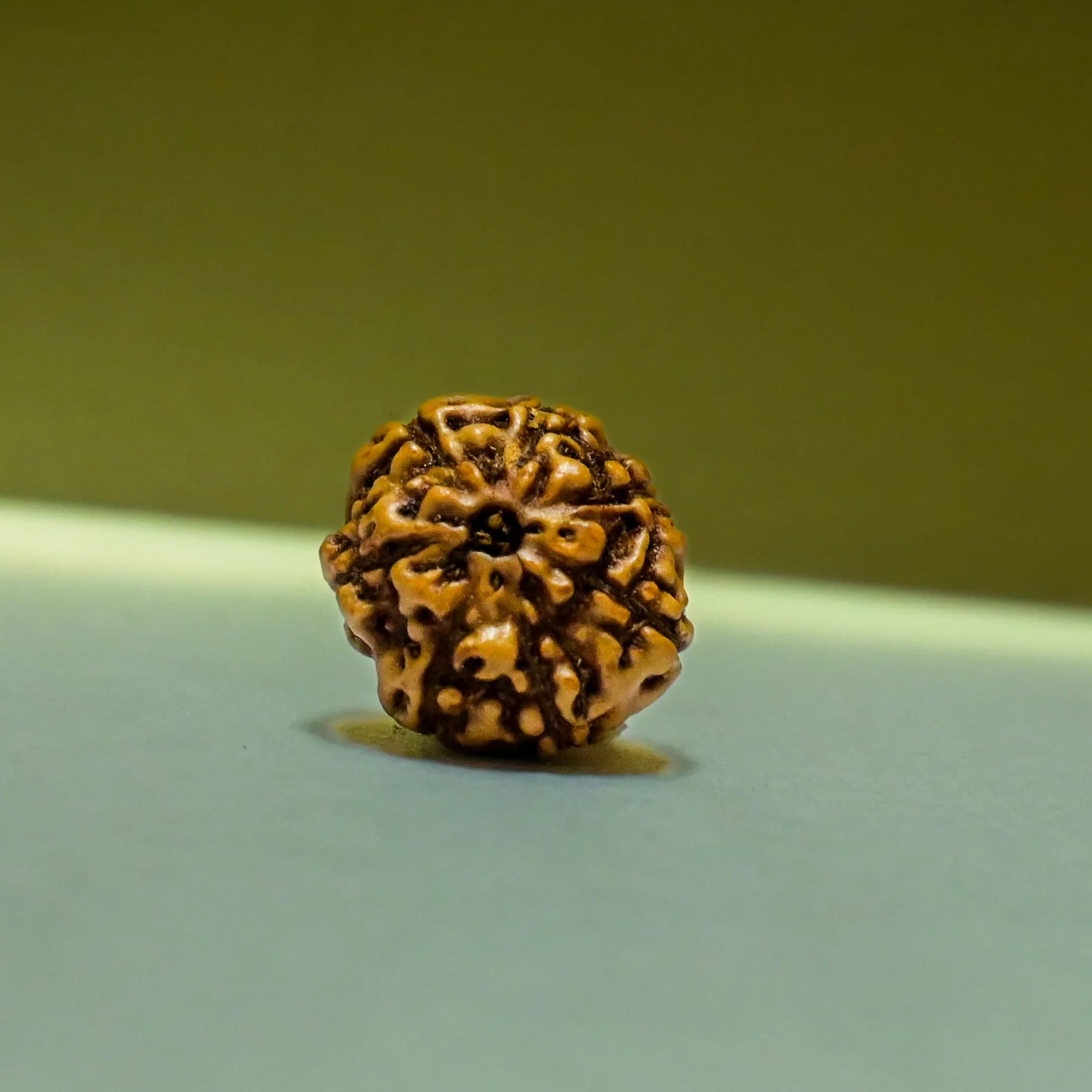 6 Mukhi Rudraksha: Energy, Focus & Well-being