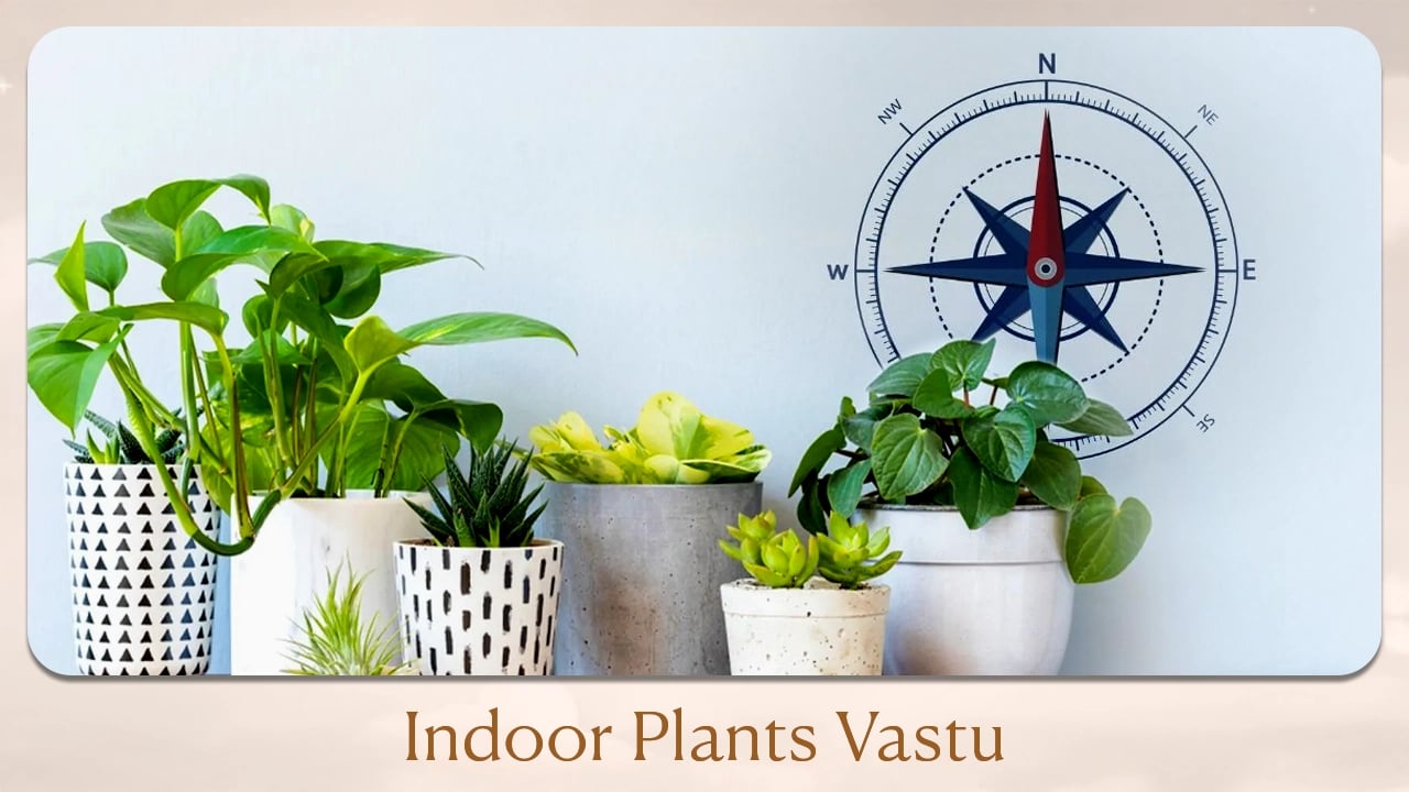 Indoor plants Vastu