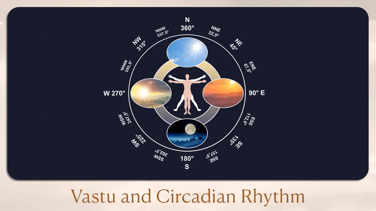 Vastu and circadian rhythm