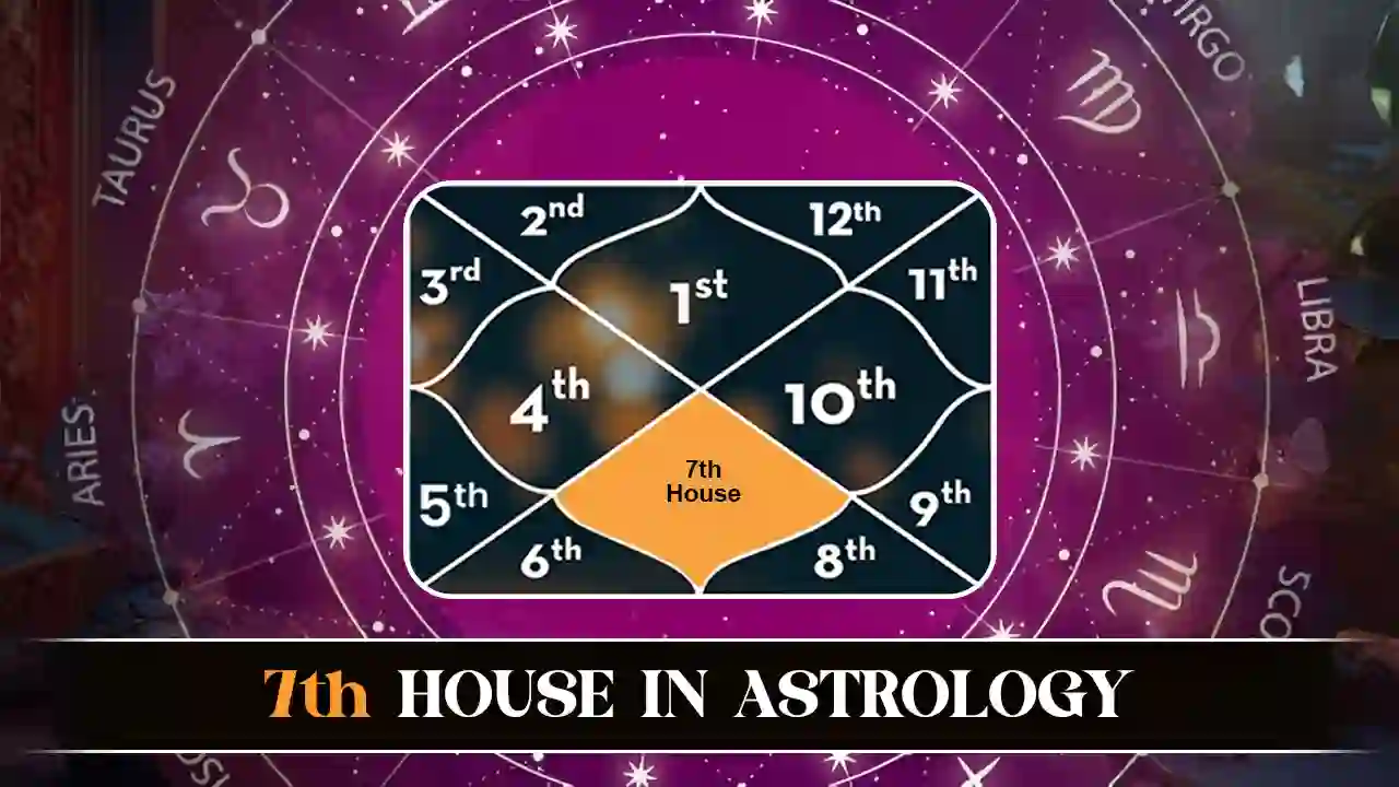 7th House in Astrology: Marriage & Love Insights