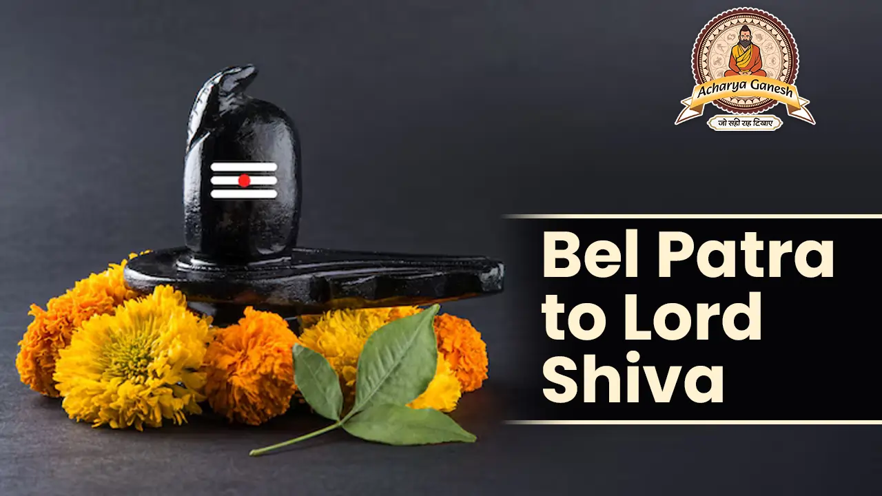 why Bel Patra is offered to Lord Shiva