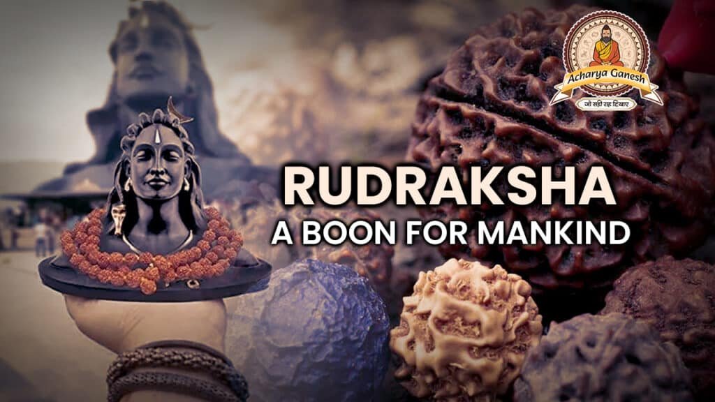 Rudraksha