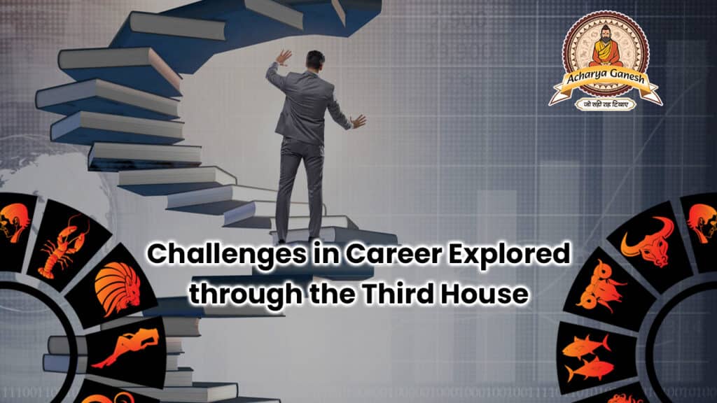 Challenges in Career Explored through the Third House