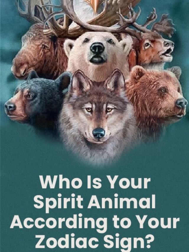 Who Is Your Spirit Animal According to Your Zordic Sign?