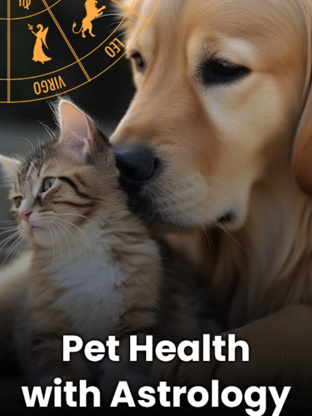 Reveal Your Pet's Health Secrets with the Astrology Guide