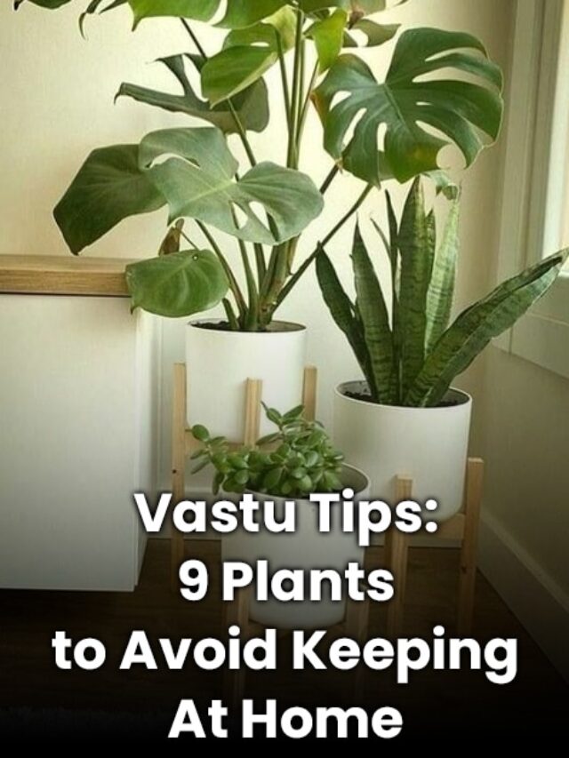 9 Plants to Avoid Keeping At Home