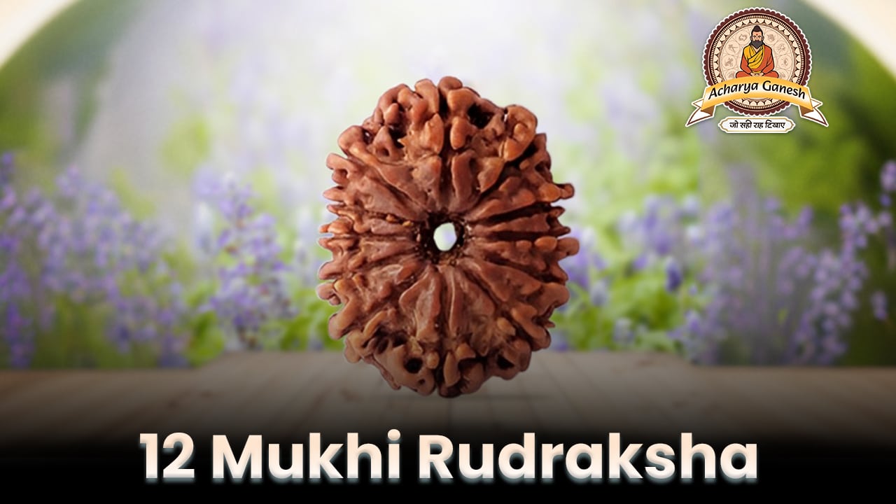 12 mukhi rudraksha