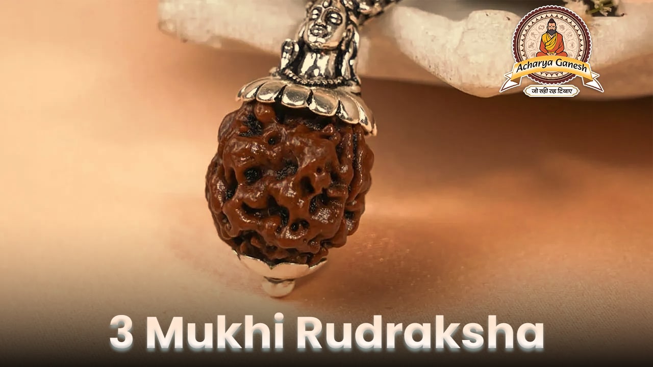 3 mukhi rudraksha