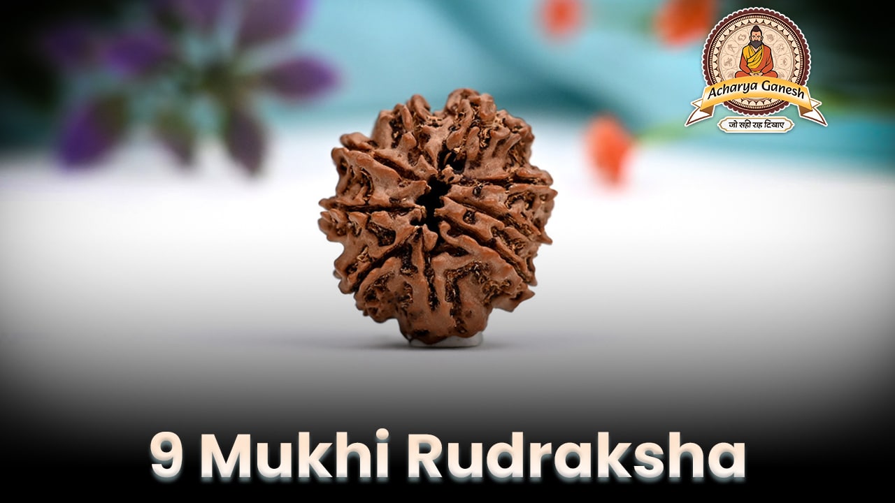 9 mukhi rudraksha