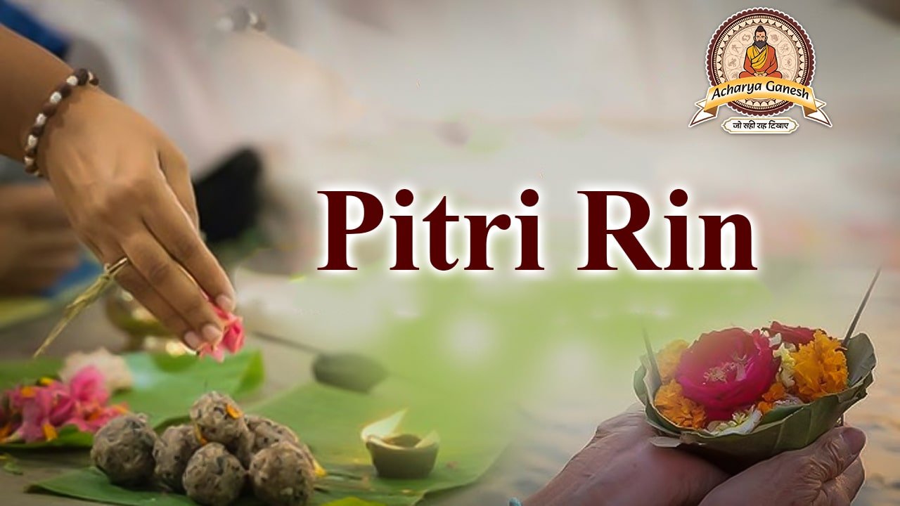 Pitri Rin