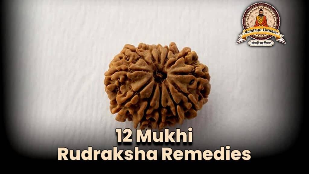 12 Mukhi Rudraksha Remedies