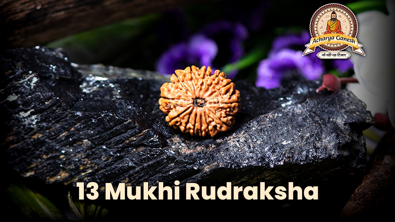 13 Mukhi Rudraksha