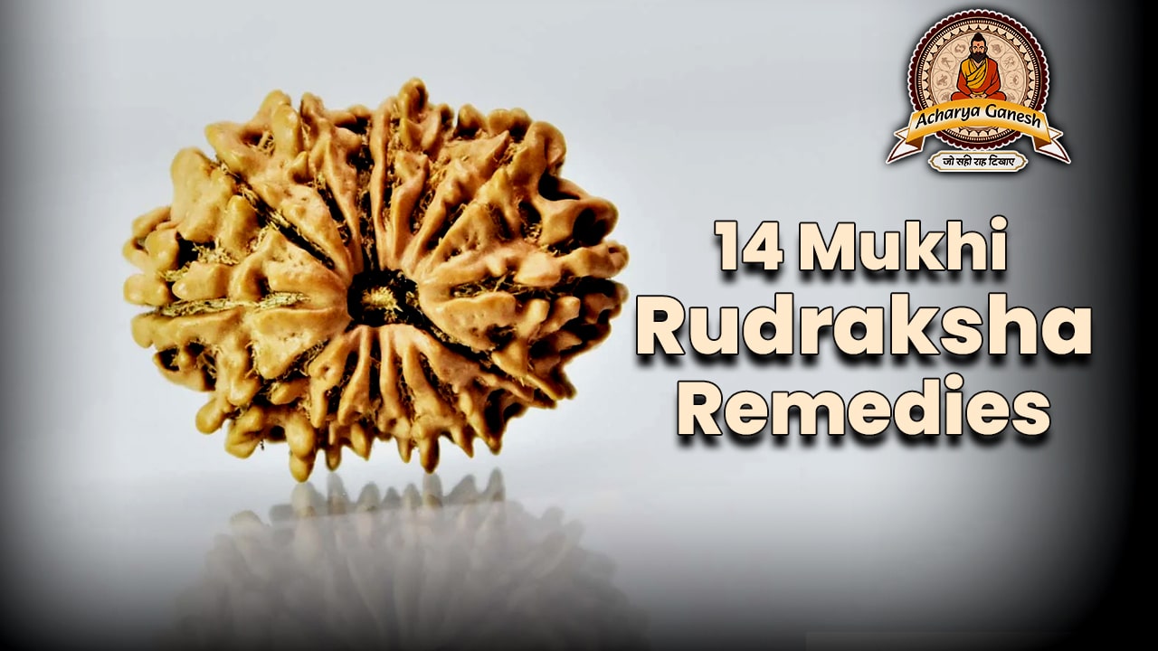 14 Mukhi Rudraksha Remedies