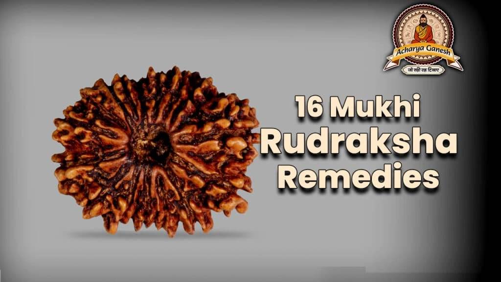 16 Mukhi Rudraksha Remedies