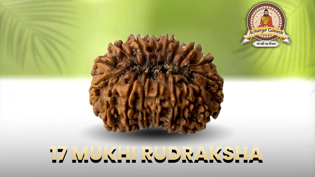 17 Mukhi Rudraksha