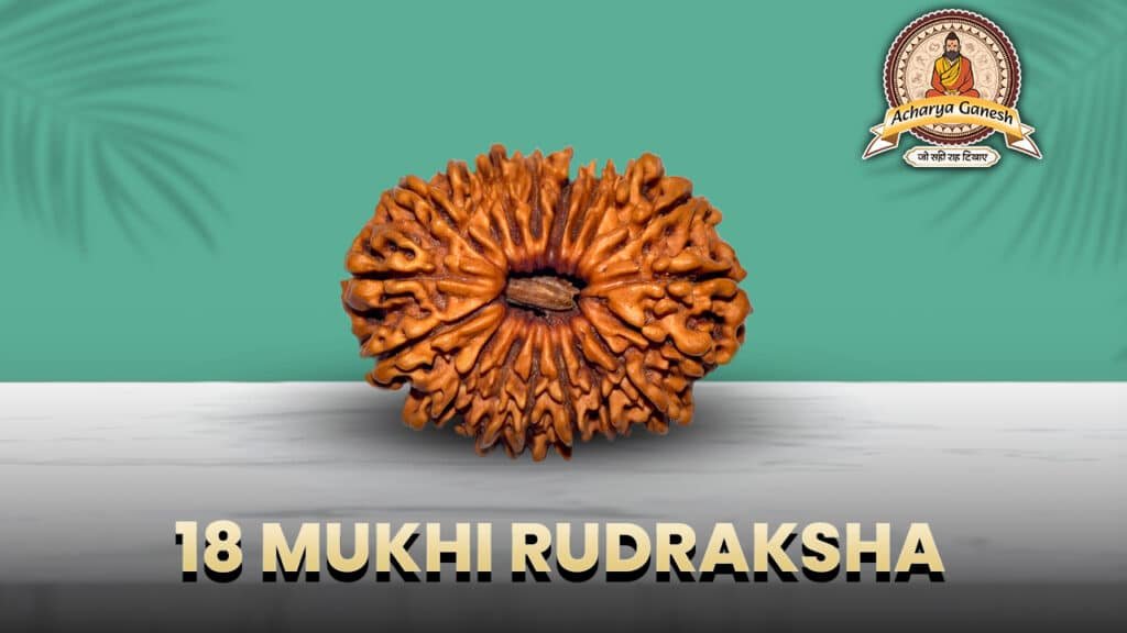 18 Mukhi Rudraksha