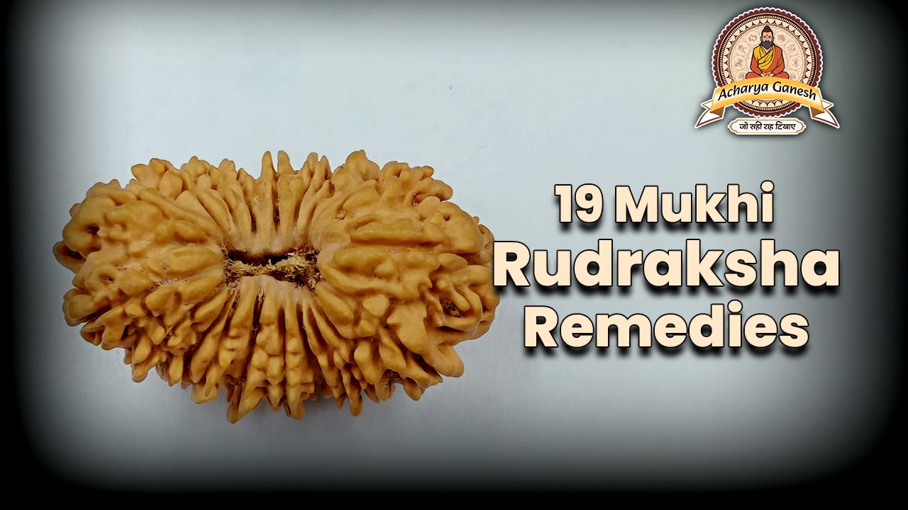 19 Mukhi Rudraksha Remedies