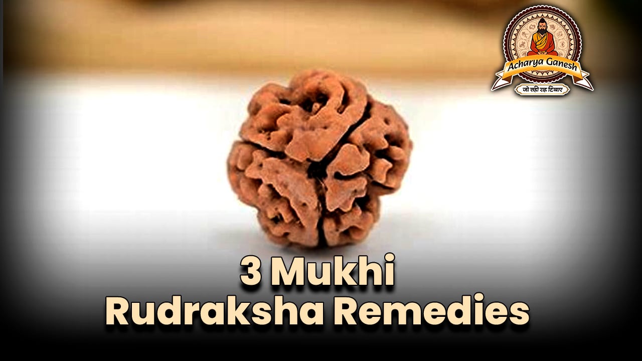 3 Mukhi Rudraksha Remedies