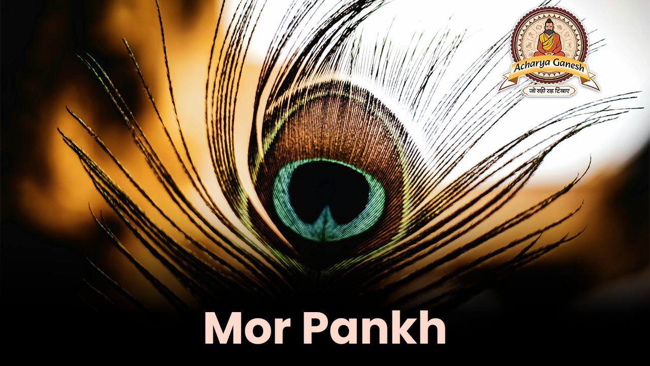 Mor Pankh 