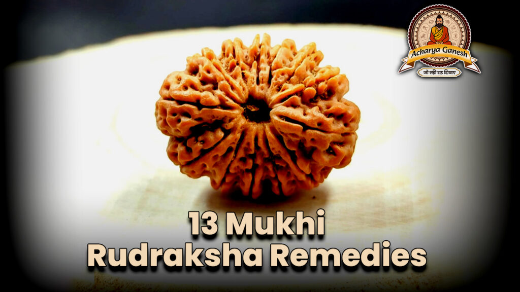 13 Mukhi Rudraksha Remedies