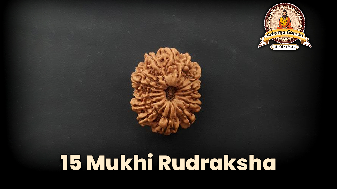 15 Mukhi Rudraksha