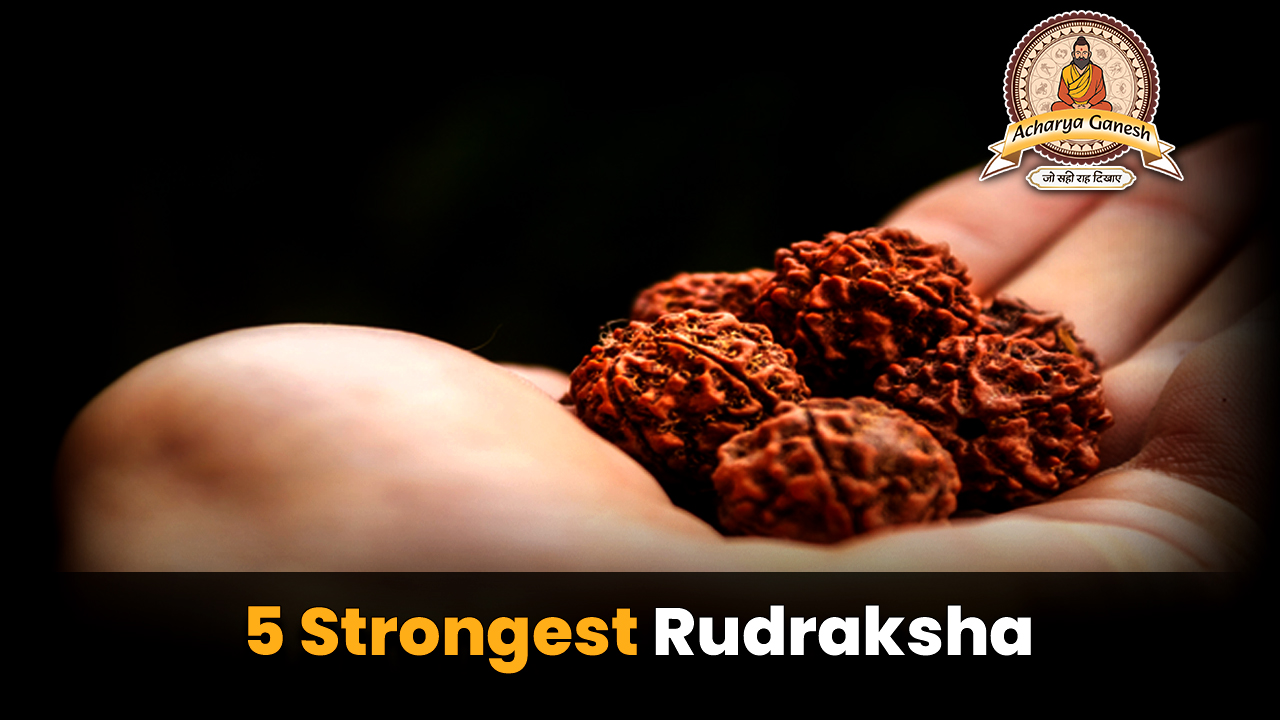  5 strongest Rudraksha