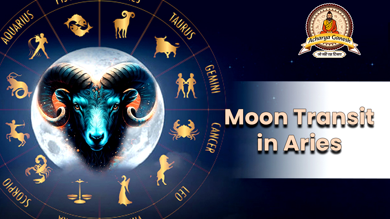 Moon Trans