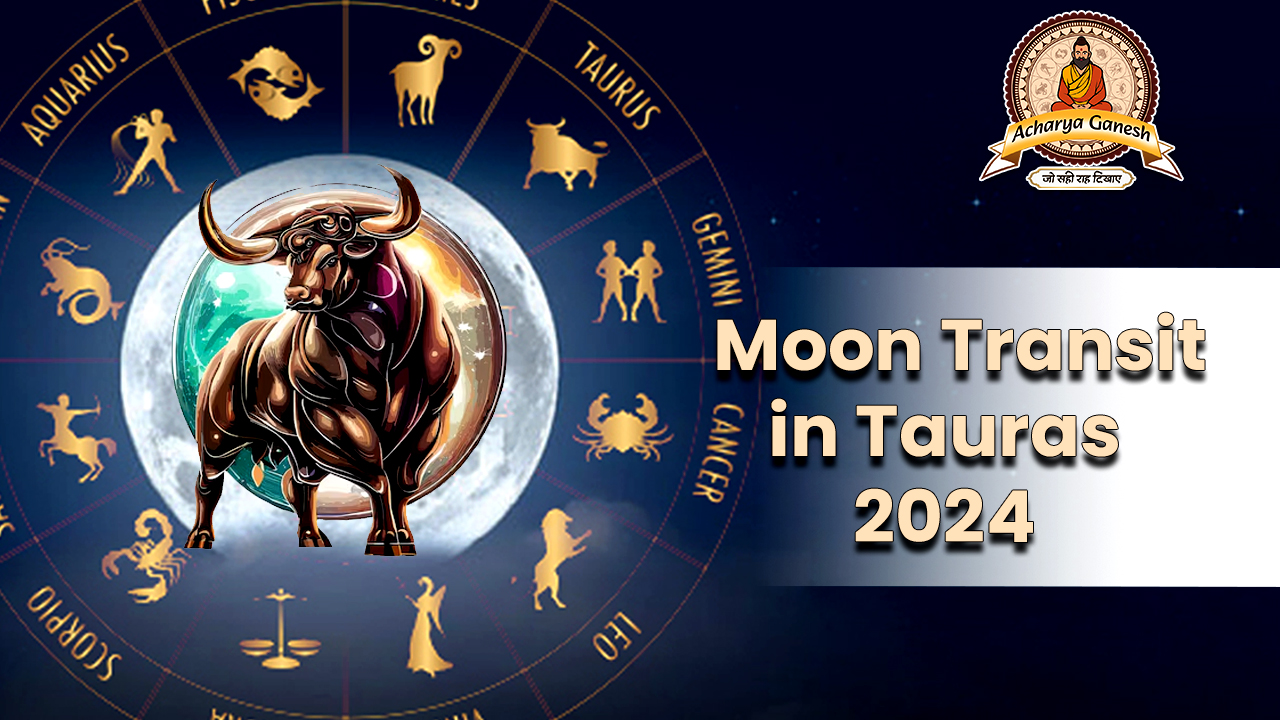 Moon Trans