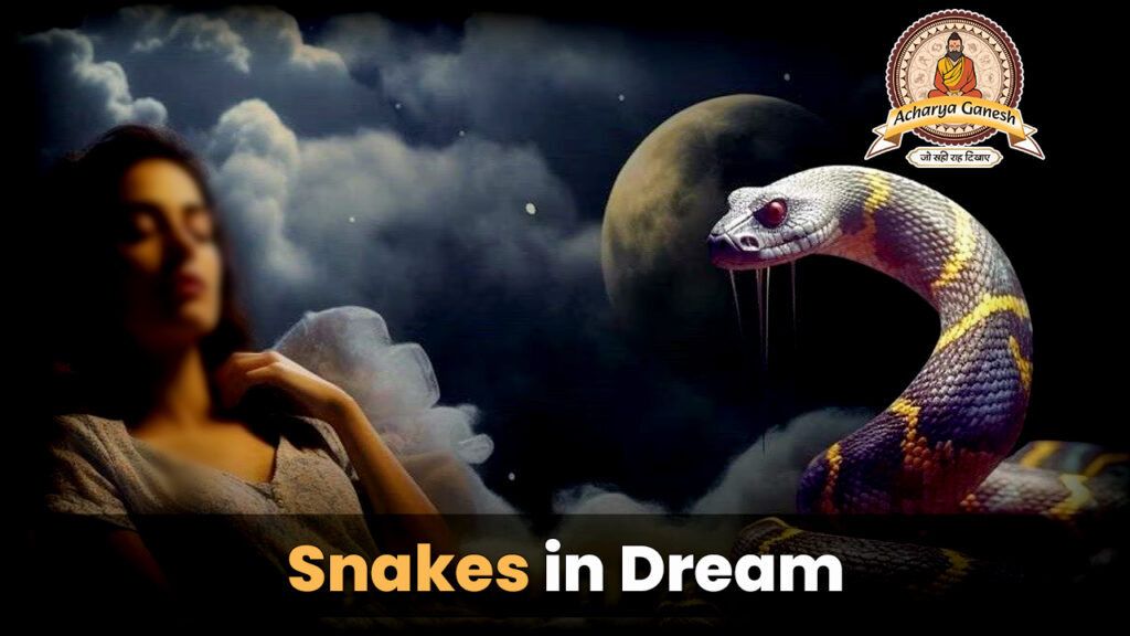 Snakes in Dream