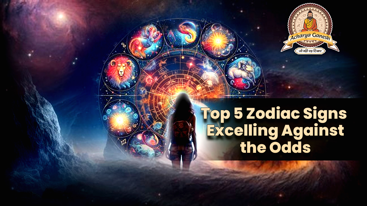 Top 5 Zodi