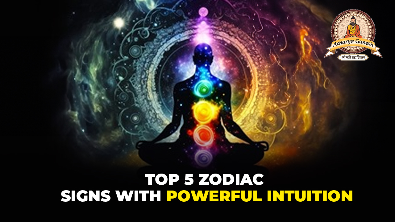 Top 5 Zodi