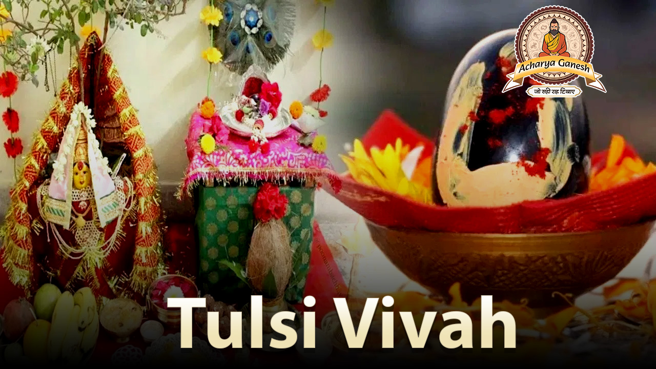 Tulsi Viva