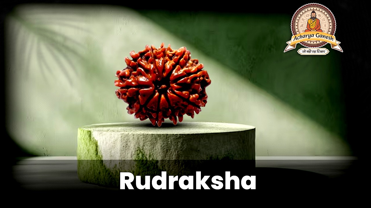 Rudraksha