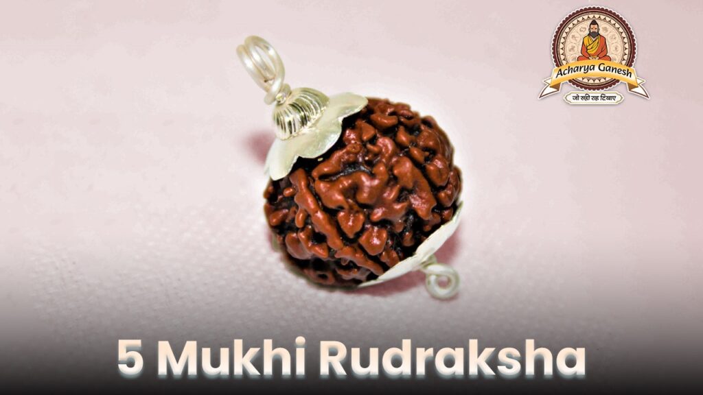 5 Mukhi Rudraksha