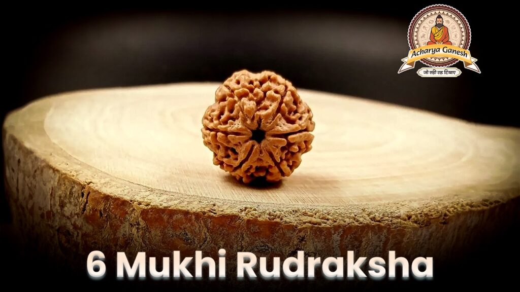 6 Mukhi Rudraksha