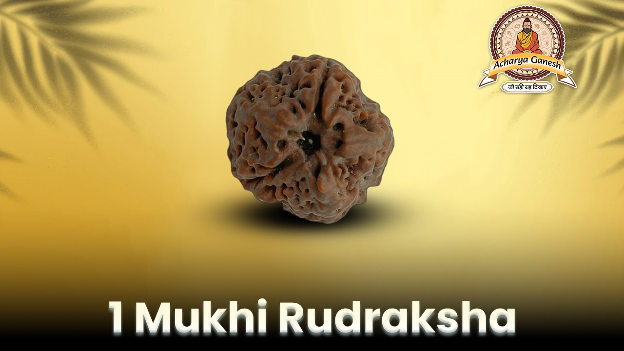  1 Mukhi Rudraksha