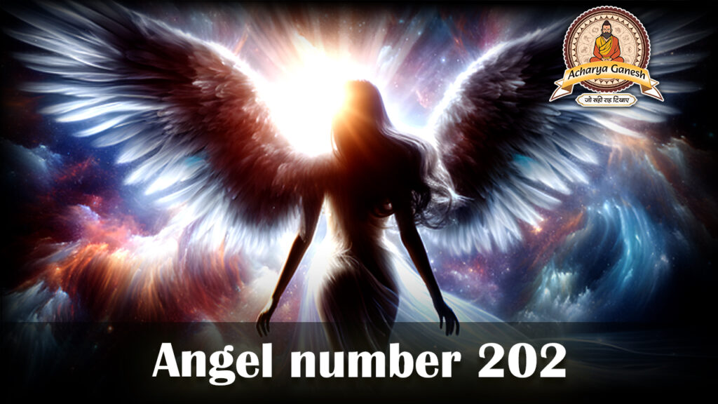 angel number 202