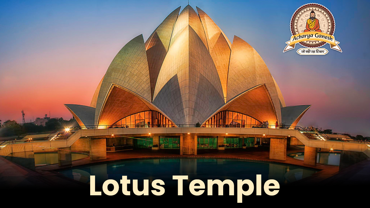 The Lotus